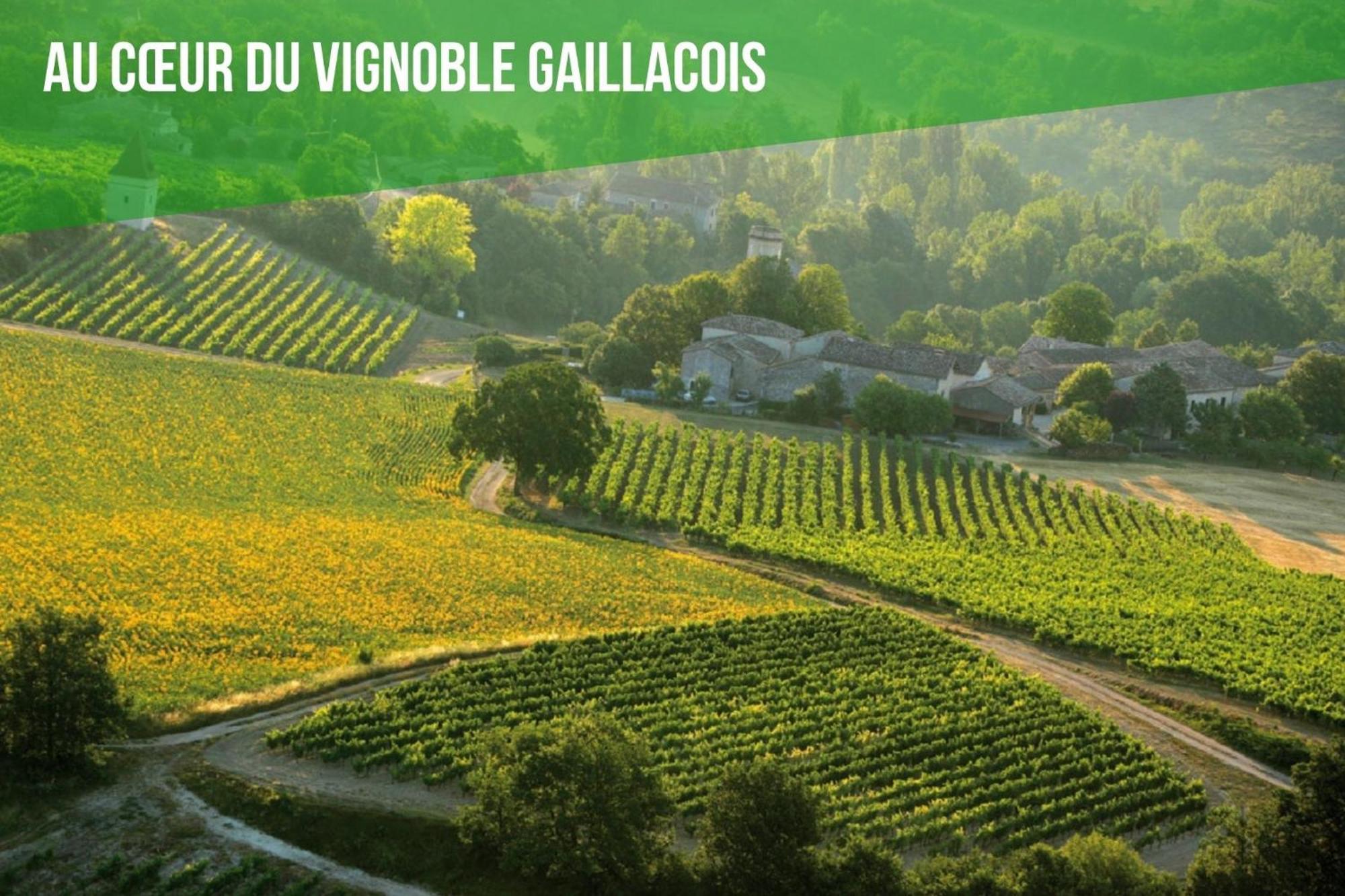 Le Cottage Nature Vigne Rouge Sauna Gaillac Entre Albi-Toulouse & Les Cottages Du Tarn Brens  Bagian luar foto