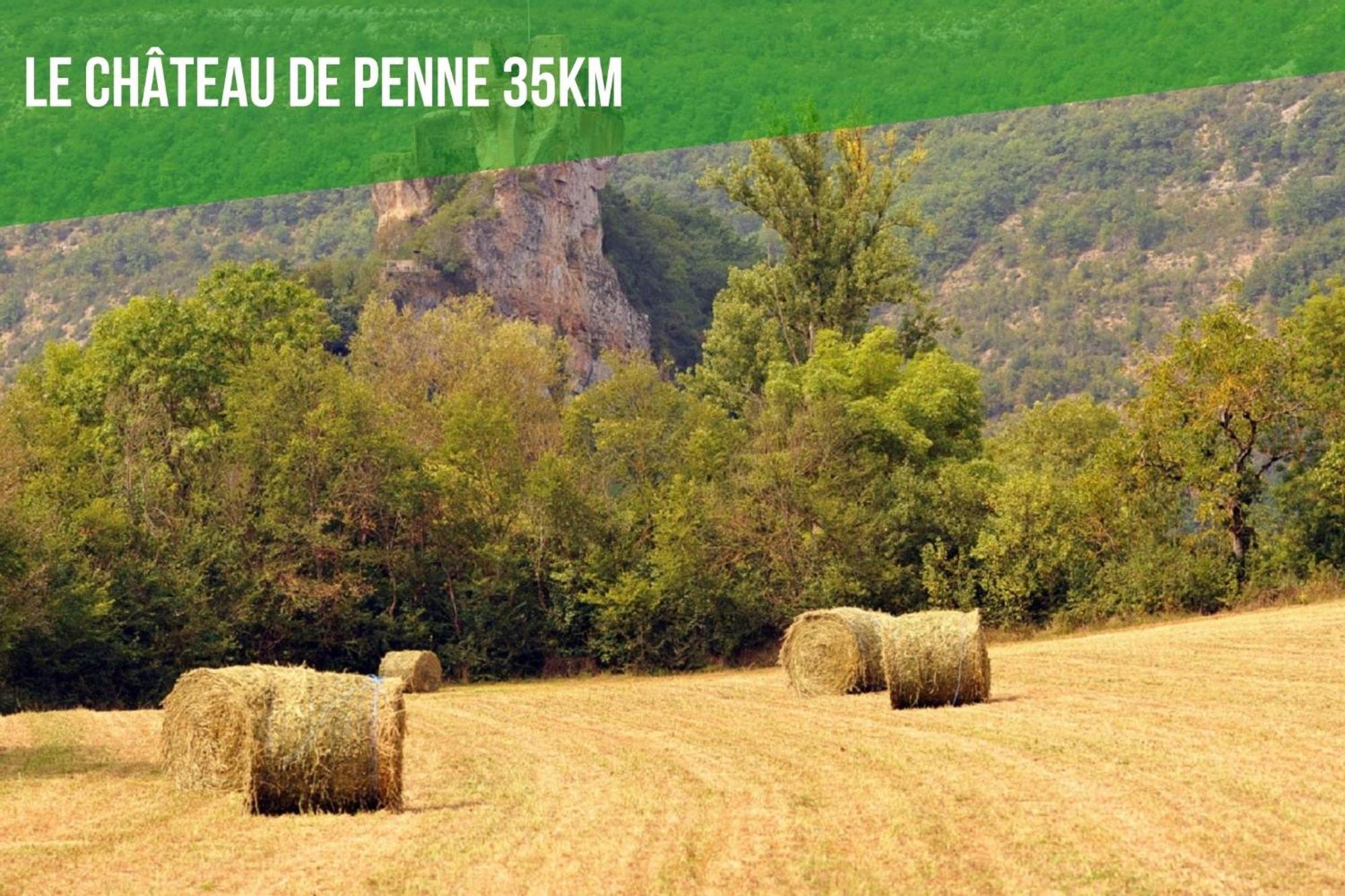 Le Cottage Nature Vigne Rouge Sauna Gaillac Entre Albi-Toulouse & Les Cottages Du Tarn Brens  Bagian luar foto